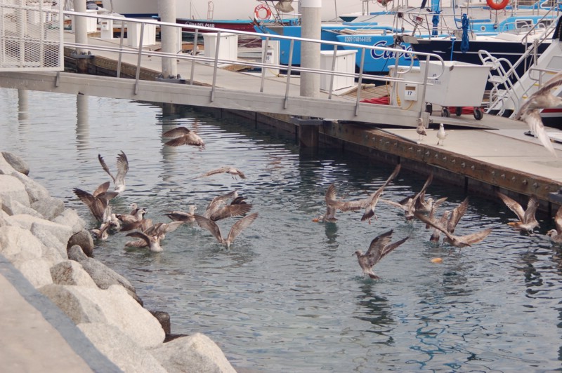 DSC_0024.JPG