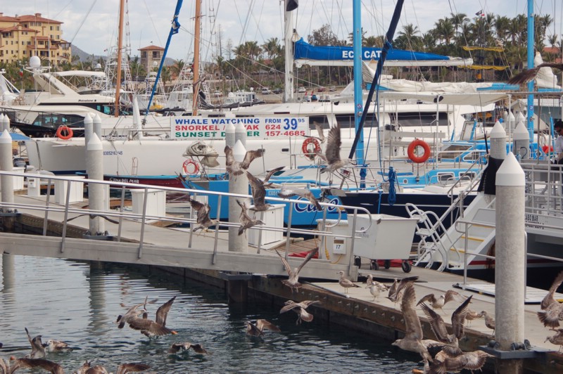 DSC_0025.JPG