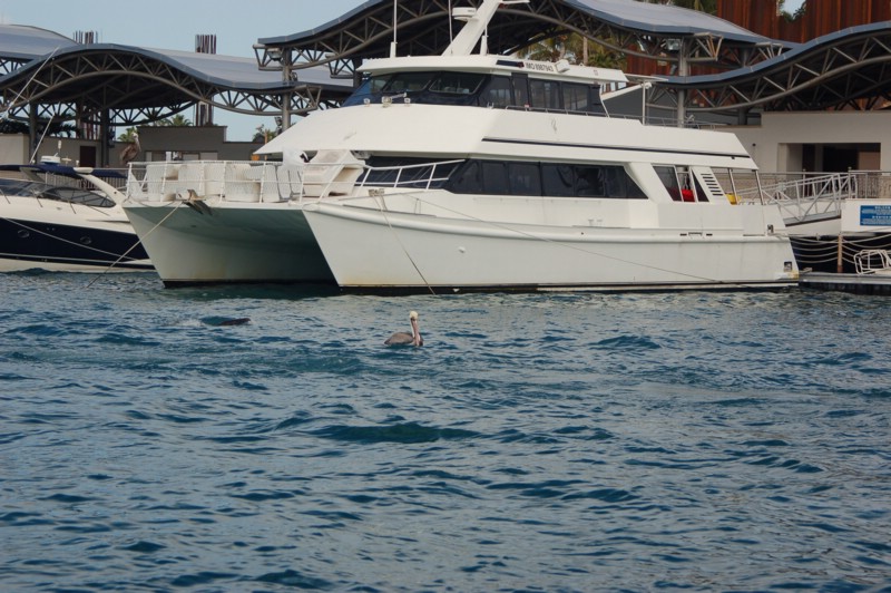 DSC_0027.JPG