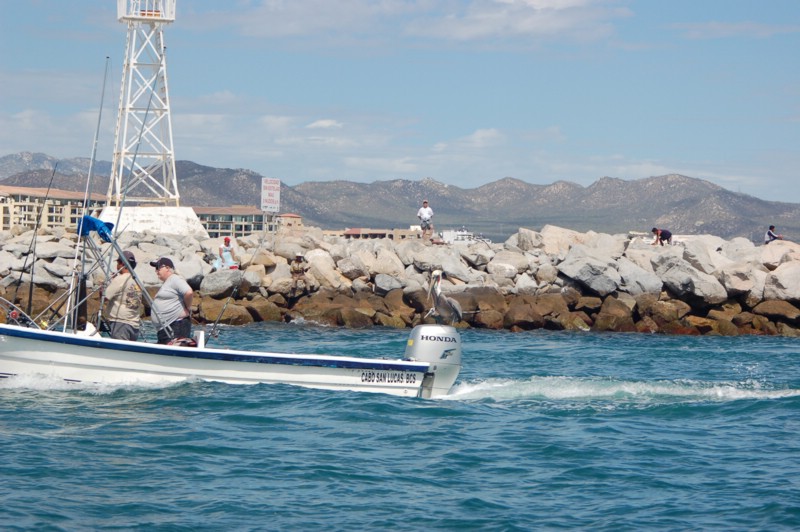 DSC_0058.JPG