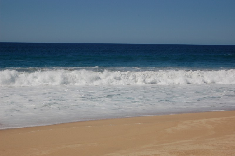 DSC_0080.JPG