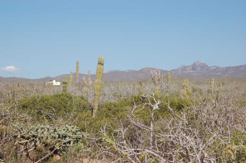 DSC_0089.JPG