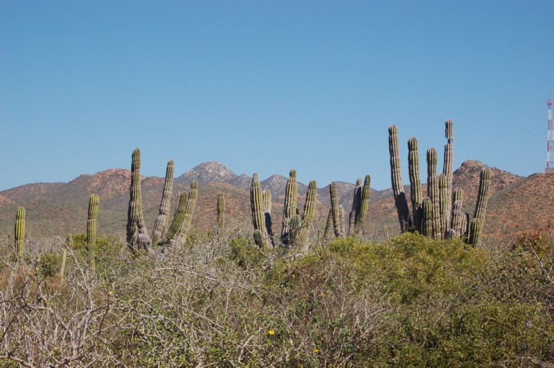 DSC_0092.JPG