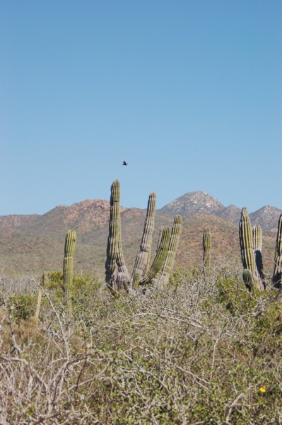 DSC_0094.JPG