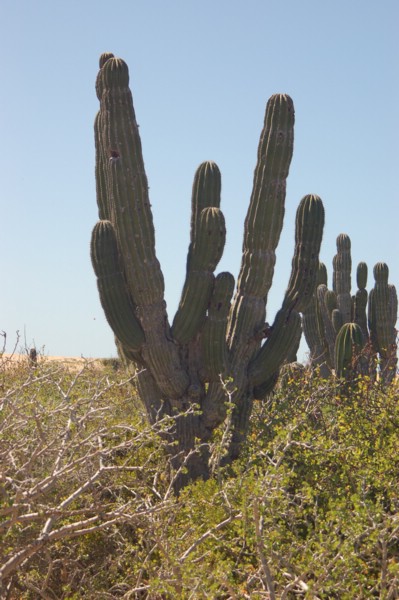 DSC_0095.JPG