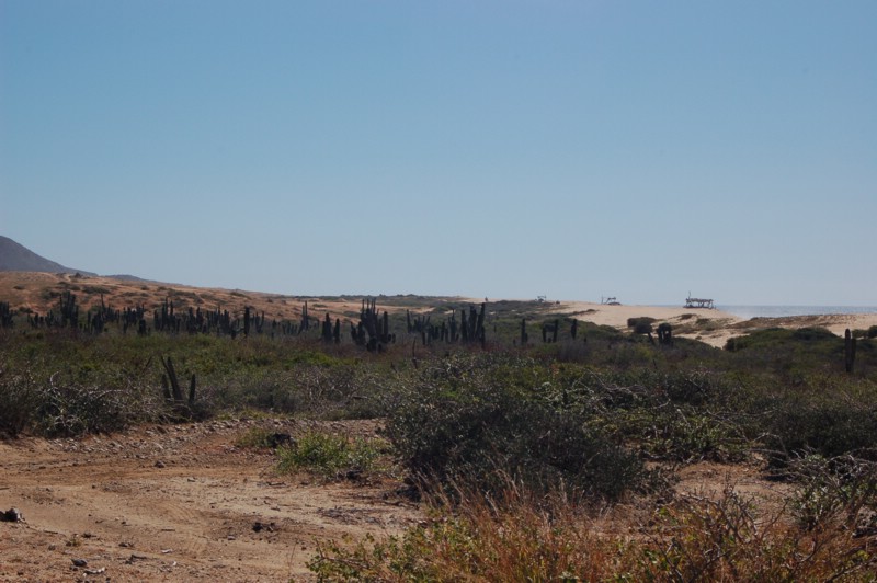 DSC_0096.JPG