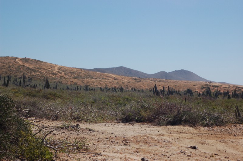 DSC_0097.JPG