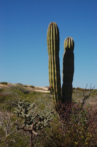 DSC_0102.JPG