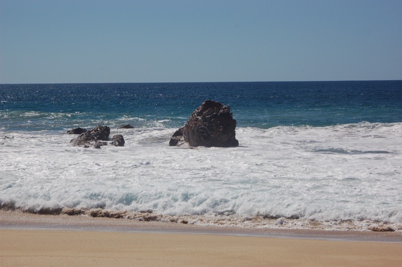 DSC_0113.JPG