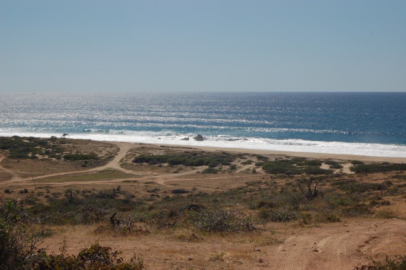 DSC_0121.JPG