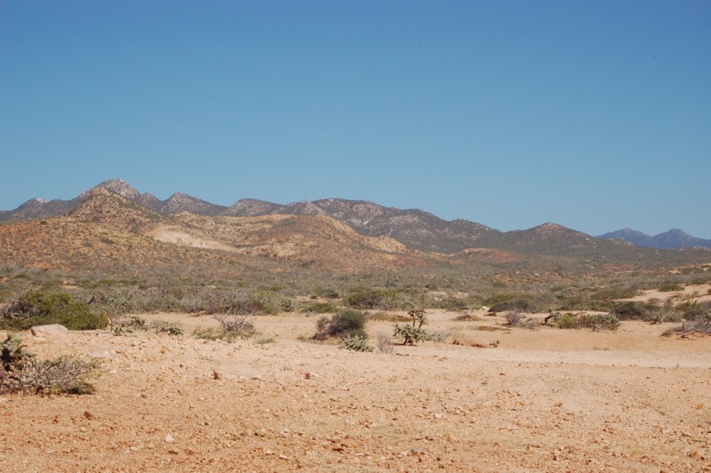DSC_0122.JPG