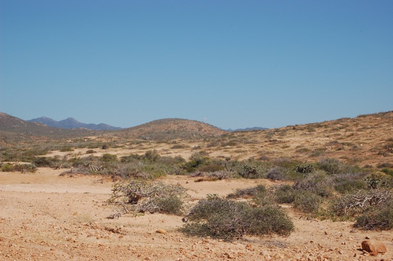DSC_0123.JPG