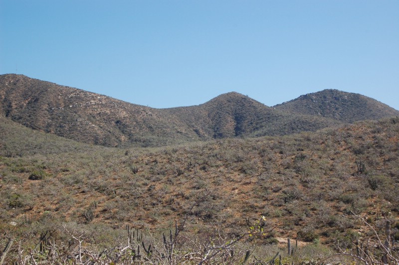 DSC_0132.JPG
