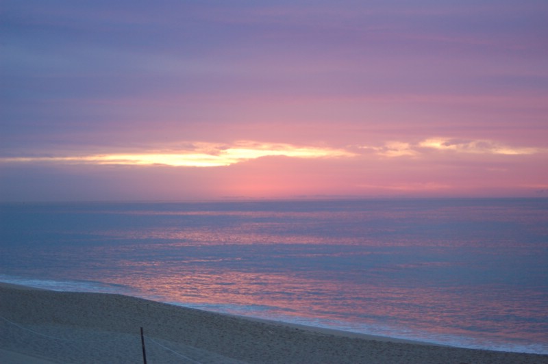 DSC_0142.JPG