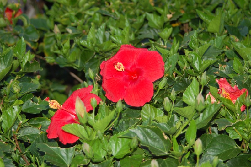 DSC_0150.JPG