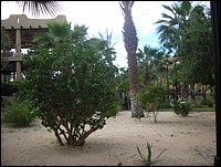 DSCN0677.JPG