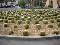 DSCN0686.JPG