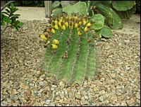 DSCN0690.JPG