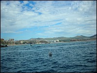 DSCN0695.JPG