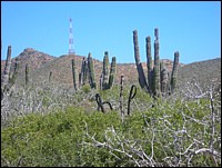 DSCN0709.JPG