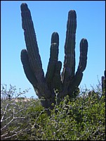DSCN0710.JPG