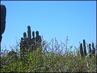 DSCN0711.JPG