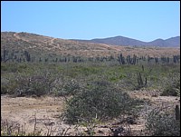 DSCN0712.JPG