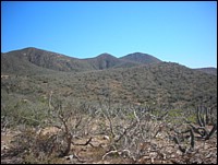 DSCN0718.JPG