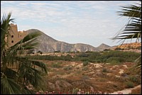 DSC_0005.JPG