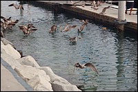 DSC_0023.JPG