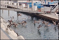 DSC_0024.JPG