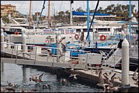 DSC_0025.JPG