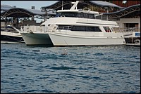 DSC_0027.JPG