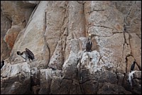 DSC_0042.JPG