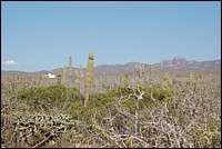 DSC_0089.JPG