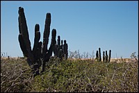 DSC_0091.JPG
