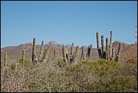 DSC_0092.JPG