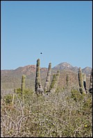 DSC_0094.JPG