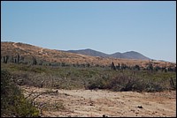 DSC_0097.JPG