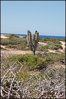 DSC_0100.JPG