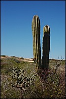 DSC_0102.JPG