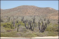 DSC_0103.JPG