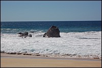 DSC_0113.JPG