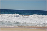 DSC_0115.JPG