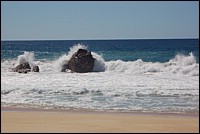 DSC_0116.JPG