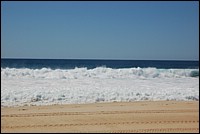 DSC_0117.JPG