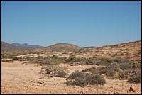 DSC_0123.JPG
