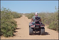 DSC_0125.JPG