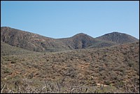 DSC_0132.JPG