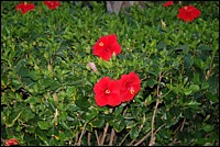 DSC_0149.JPG